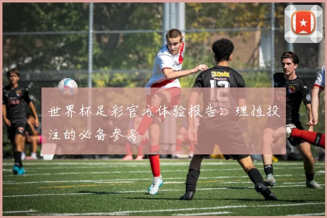 世界杯足彩官方体验报告:理性投注的必备参考