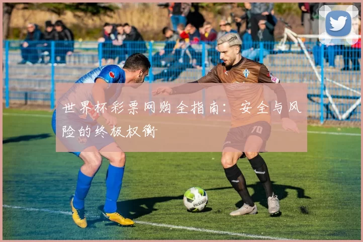 世界杯彩票网购全指南:安全与风险的终极权衡