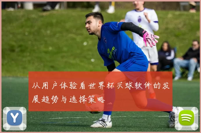 从用户体验看世界杯买球软件的发展趋势与选择策略