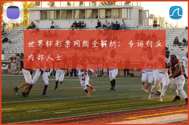 世界杯彩票网购全解析:专访行业内部人士