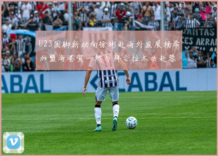 U23国脚新动向徐彬赴海外发展杨希加盟海港贺一然与拜合拉木共赴蓉城