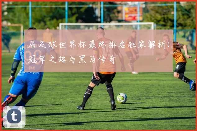 届足球世界杯最终排名独家解析：冠军之路与黑马传奇