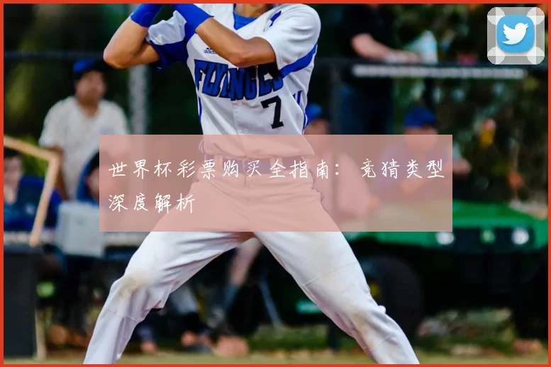 世界杯彩票购买全指南:竞猜类型深度解析