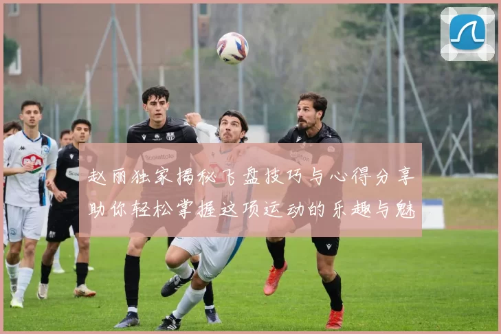 赵丽独家揭秘飞盘技巧与心得分享助你轻松掌握这项运动的乐趣与魅力