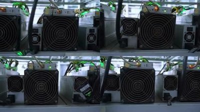 A bustling mining farm showcases rows of ASICs, highlighting the scale and infrastructure required for efficient cryptocurrency mining operations.