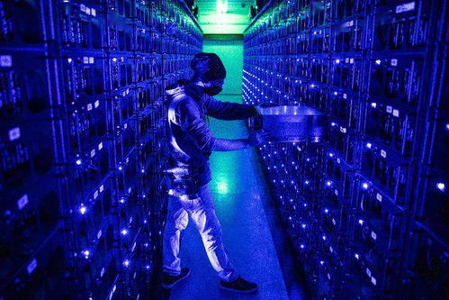 A vast Bitcoin mining farm showcasing rows of ASIC miners